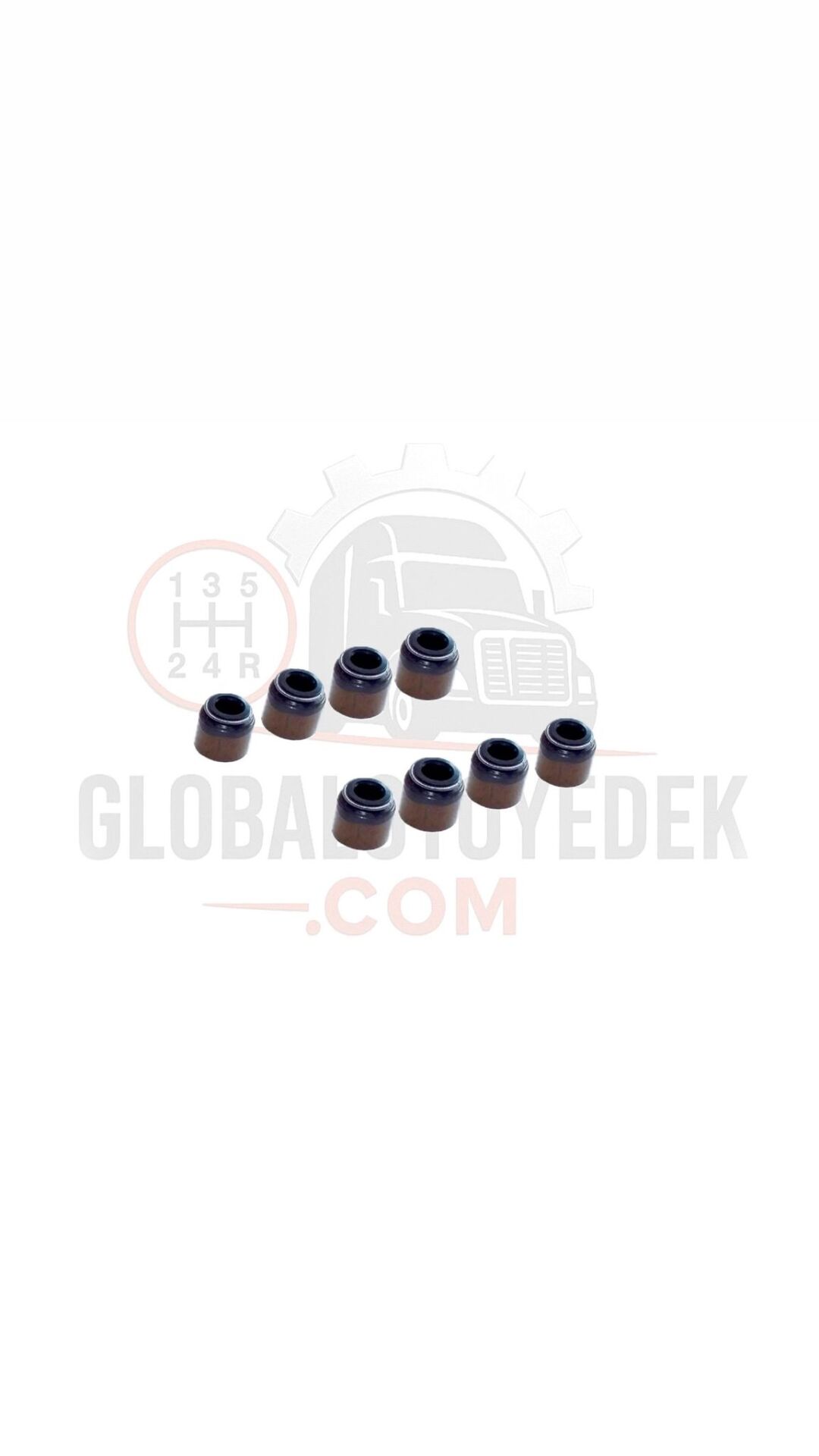 HİNO FB112 MOTOR SUBAP LASTİK 8'Lİ TAKIM SKT